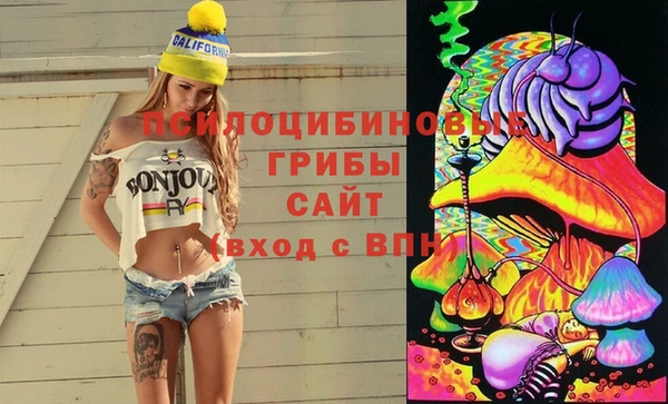 дурь Заволжск