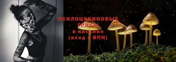 дурь Заволжск