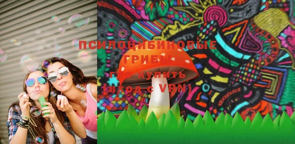дурь Заводоуковск