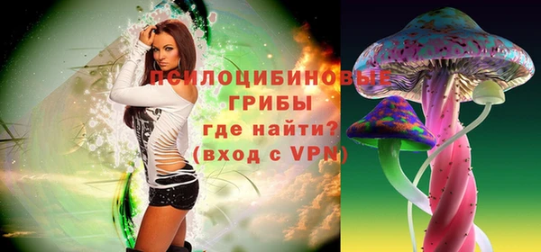 дурь Заводоуковск