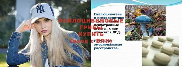 дурь Заводоуковск